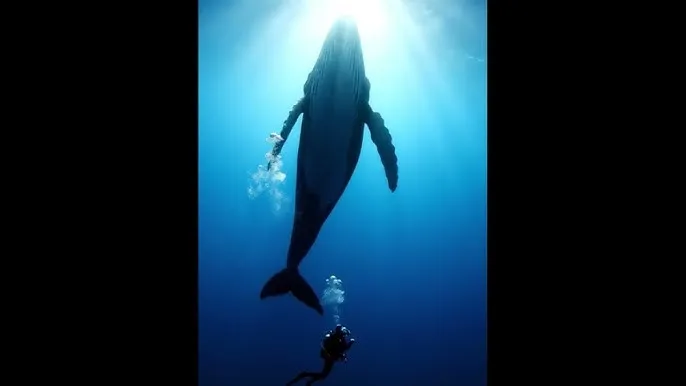 闲人挖宝记txt - 深蓝星球：探索海洋深处的未知世界